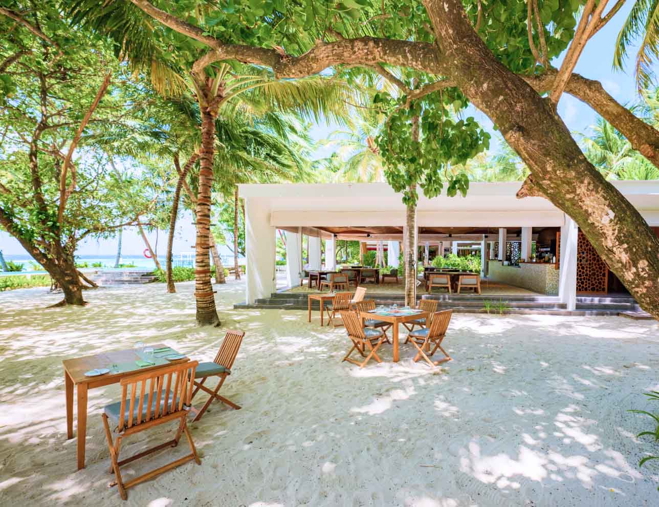 Café Chilld | Amilla Maldives 